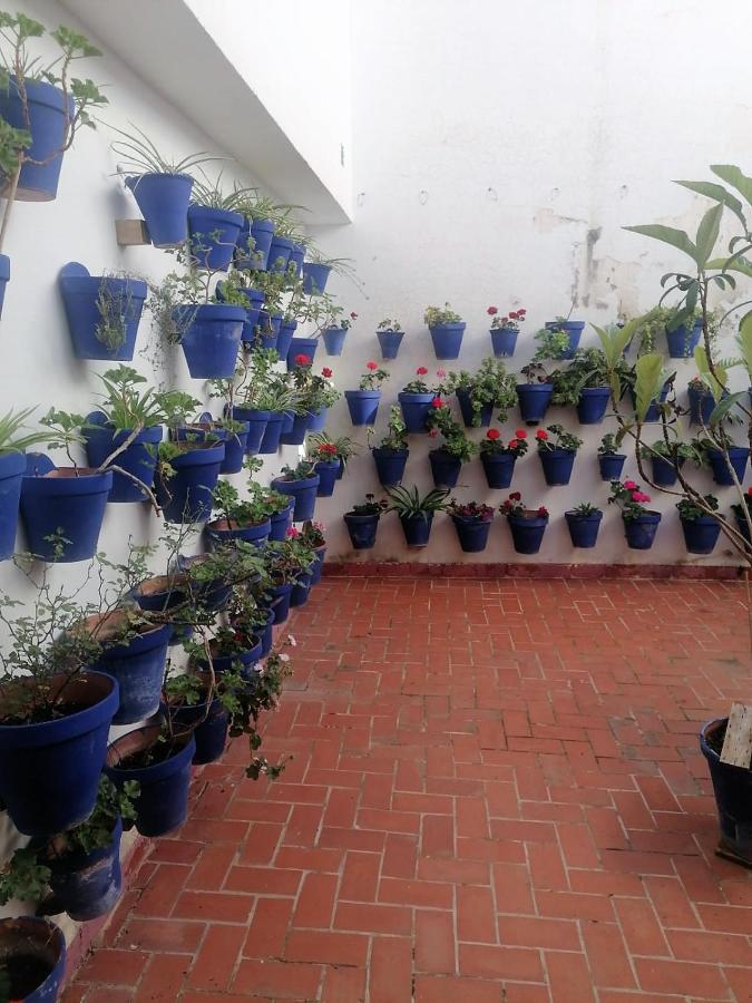 Plaza Mayor 2 Dormitorios Córdoba Kültér fotó